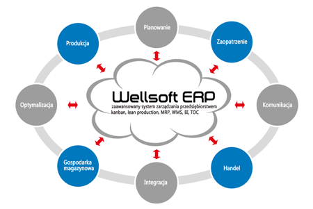 Wellsoft ERP
